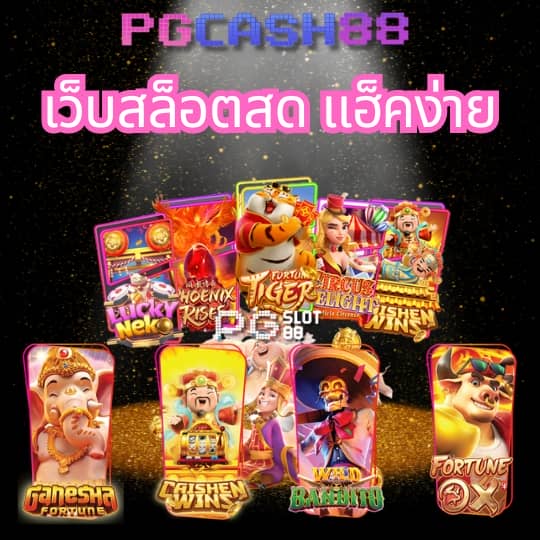 เวป24